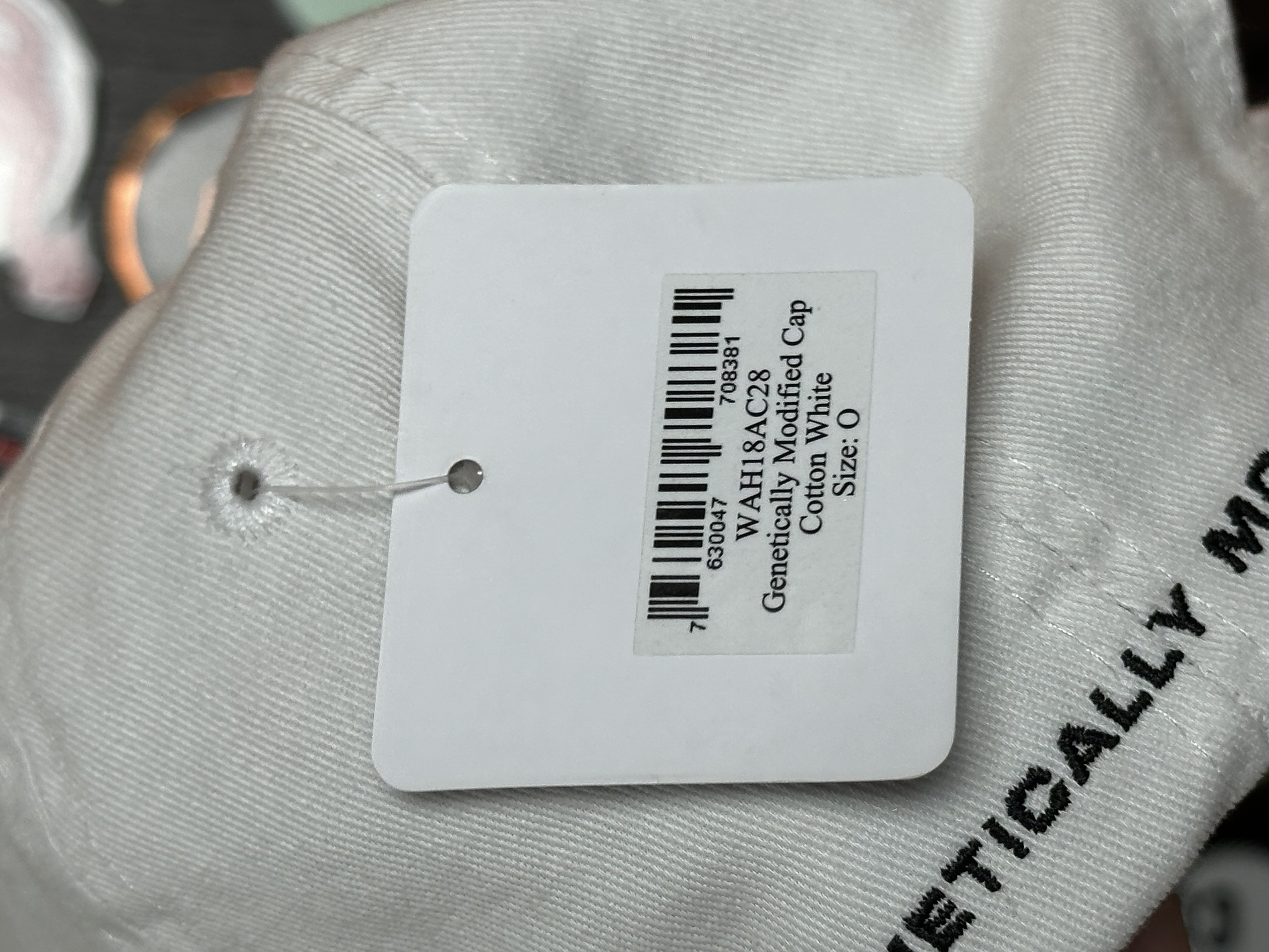 Vetements VETEMENTS NWT AW18 “Genetically Modified” Cap